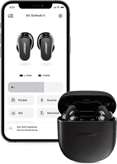 Costco Bose Earbuds