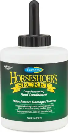 coat supplement for horses