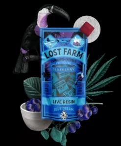 Buy Blueberry Gummies Online