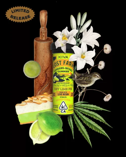 Key Lime Pie For Sale