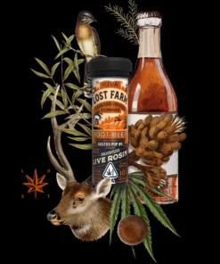 Buy Root Beer Online