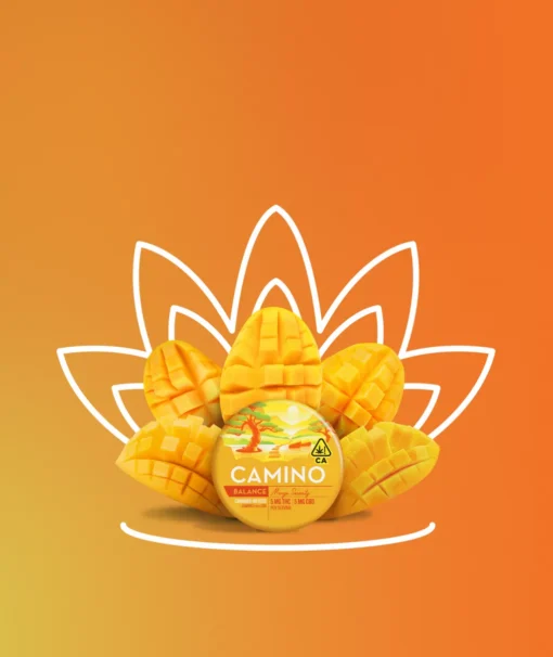 Buy Mango Serenity Online
