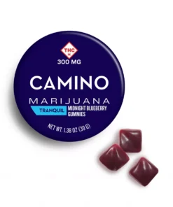 Order Midnight Blueberry Online