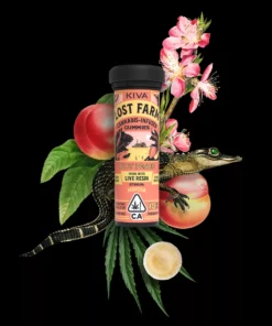 Buy Juicy Punch Online